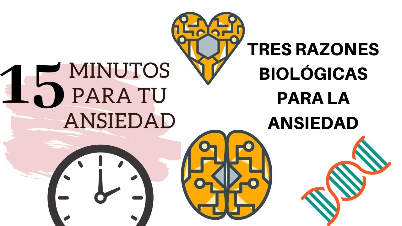 3 Causas de la Ansiedad. (Biologia)