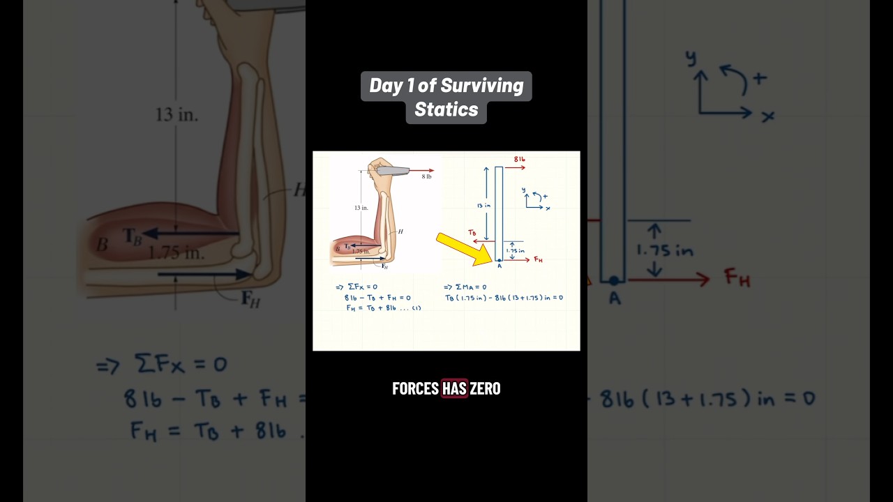 Day 1 of Surviving Statics 📐📚 Free body diagrams, equilibrium, and some engineering basics ⚙️