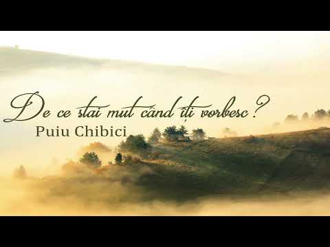 Album (1) De ce stai mut? - Puiu Chibici