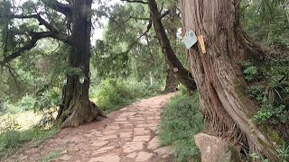 Hidden in Sichuan: Zhang Fei’s 2,000-Year-Old Ancient Road  | The Mystery of Lanma Wall