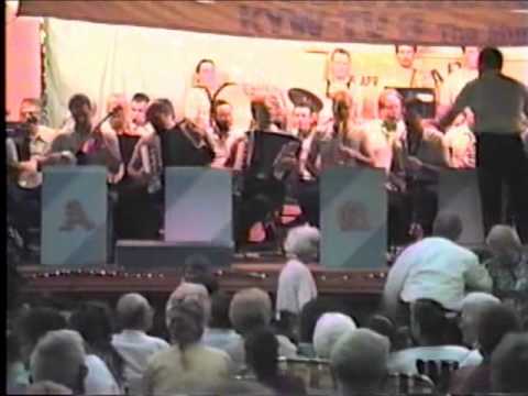 Aqua String Band 1990 - Dream Girl