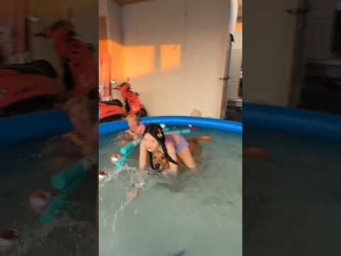 พี่โมทำสระว่ายน้ำง้ออั่งเปากัน #โมจิ #ไนท์แฟนดาวต็อกต็อก
