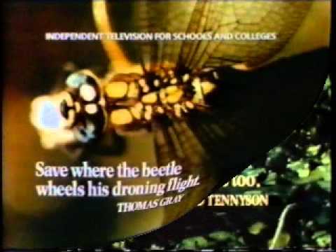 ITV SCHOOLS SLIDES COMPILATION - SPRING TERM 1987