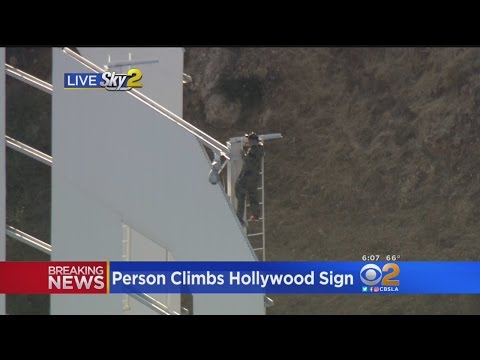 LAPD Not Amused As Man Climbs Hollywood Sign