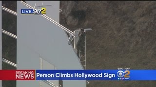 LAPD Not Amused As Man Climbs Hollywood Sign