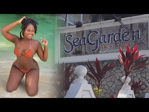 Videos del Seagarden Beach Resort 3★ en Montego Bay, Jamaica
Ver Más
Ver
Precios
19
Cerrar
Consulta por Whatsapp 🇦🇷
Booking
Tripadvisor
Expedia
Agoda
Travelocity
Orbitz
Priceline
Trip
Skyscanner
Despegar
Kayak
Hoteles
Destinia
Trivago
Turismocity
Lastminute
Hotwire
Tui
Wotif
