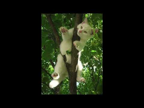 (SOLD) glaive x ericdoa x brakence guitar hyperpop type beat "2013"