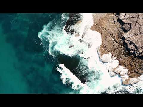 Moataz - Beach lovers