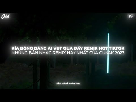 Kìa Bóng Dáng Ai Vụt Qua Đây Remix, Lửng Lơ Remix ~ Nhạc Hot TikTok Hiện Nay
