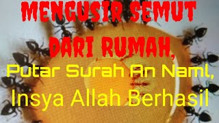 Download lagu Mengusir Semut dari Rumah Putar Surah An Naml Insy... mp3