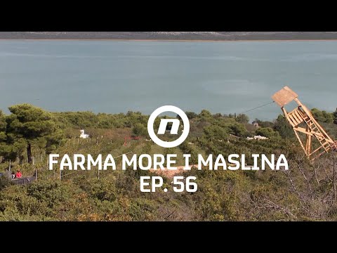 Rušenje čeke  - Epizoda 56 | Farma More i Maslina