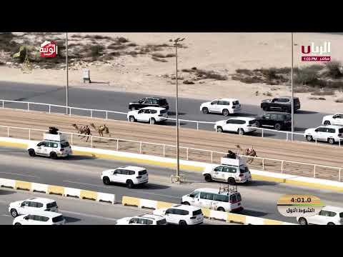 ش 1 (لواحظ) الشيخ عبدالعزيز بن حمد بن خالد آل ثاني 6:01:14,مهرجان المؤسس 2025/12/13 حقايق الشحانية