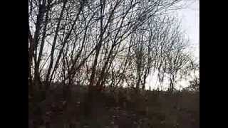 preview picture of video 'MTB Silverhill trail Blackwell to Pleasley 30-11-13 Time Lapsed'