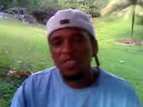 p.o.v. style freestyle