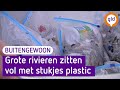 Steeds meer plastic in grote rivieren, merken onderzoekers - BuitenGewoon
