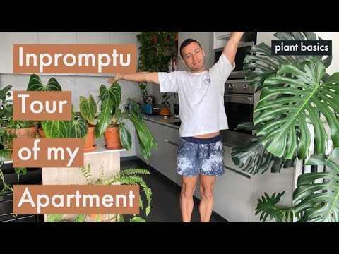 An impromptu tour of my apartment | Houseplant tour