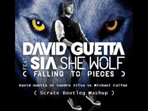 David Guetta vs Sandro Silva vs Michael Calfan - She Wolf (Scrate Bootleg Mashup)