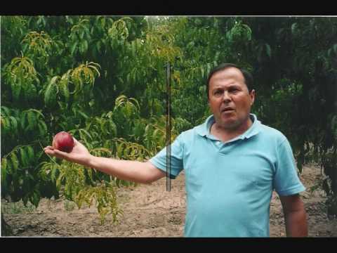 Quarteto Reviver - 2 anos.wmv