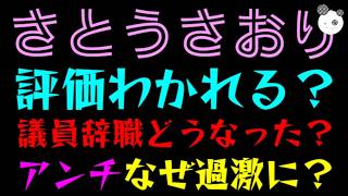 【さとうさおり】全国区の知名度に『議員辞職どうなった？』アンチなぜ過激に？