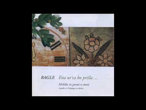 Lansko leto sem se oženil