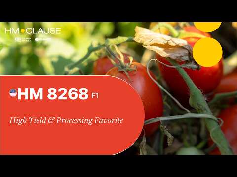 Video: HM 8268 F1