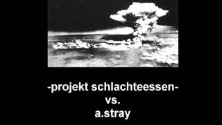 Projekt Schlachteessen vs. a.stray - 2 cm