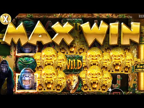 💰 MAX WIN ALERT! Gorilla Mayhem Slot Machine Pays Out BIG! (Pragmatic Play)