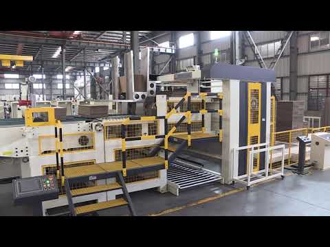 Dinglong Auto Prefeeder + FFG + Strapping + Palletizer