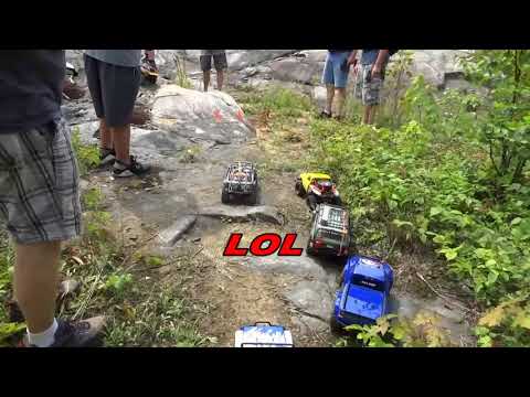 HOG WARZ The Beginning