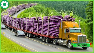 250 Jaw-Dropping Most Dangerous Transport Skills | Biggest Heavy Machinery Machines