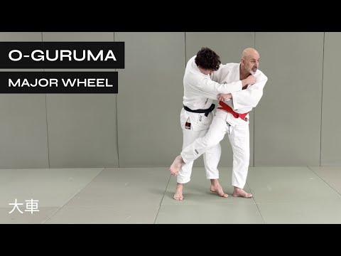 How to do O Guruma | Major Wheel | 大車 — judo technique demonstration