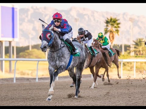 Al Ain 17.01.20 Race 1
