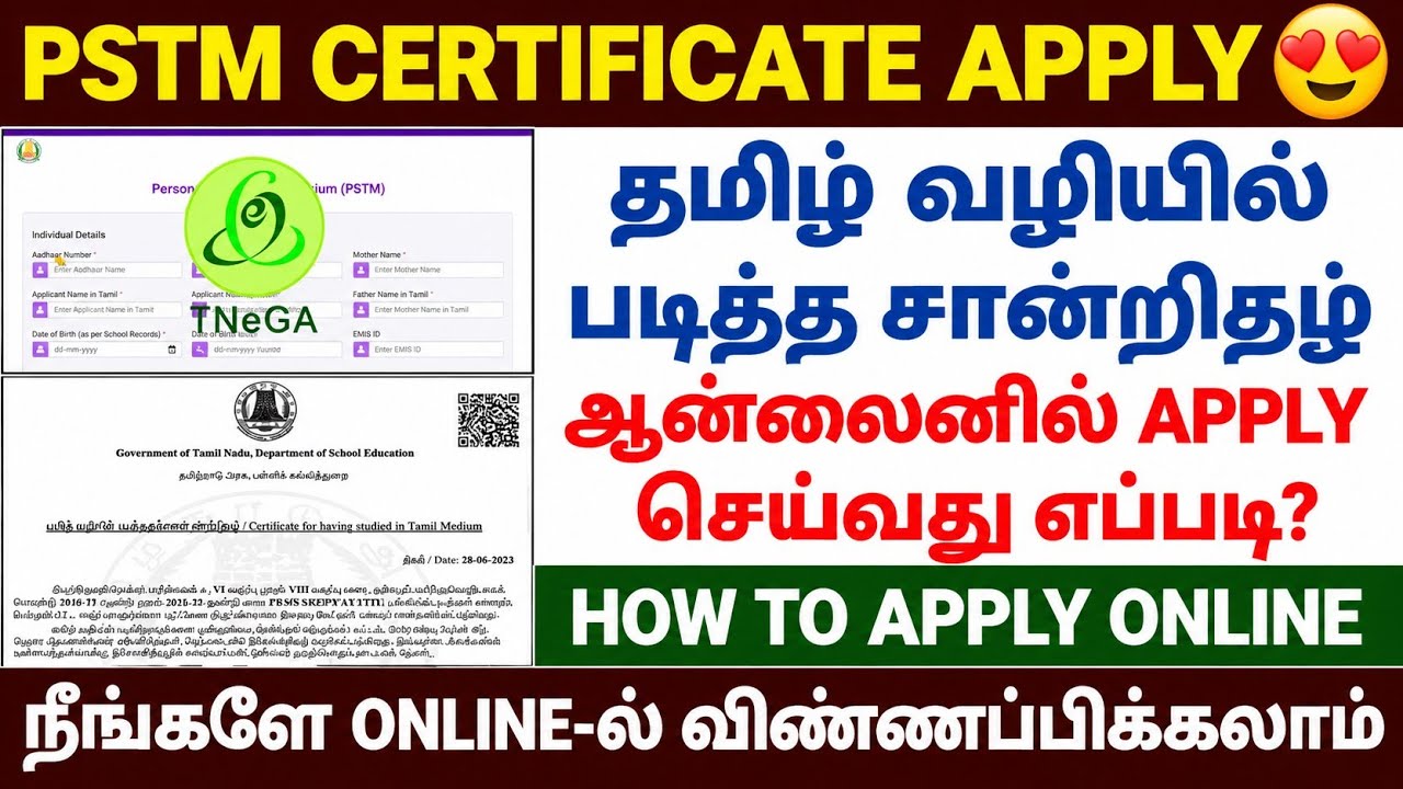 pstm certificate apply online in tamilnadu | how to apply pstm certificate online | pstm certificate