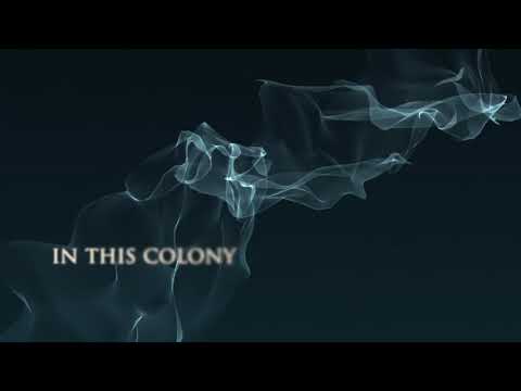 Joy Division - Colony (Official Lyric Video)