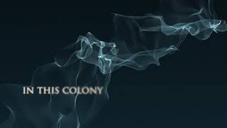 Colony Music Video