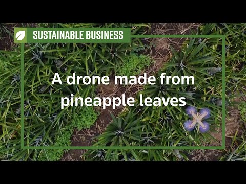 Malaysian researchers transform pineapple leaves into drones