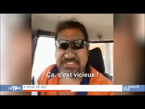 La Minute Web M6 du 06/02/2018 - Mouette attaque