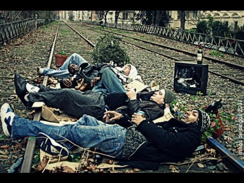 ASSOS DE DINGOS l'album 2009 entier + BONUS