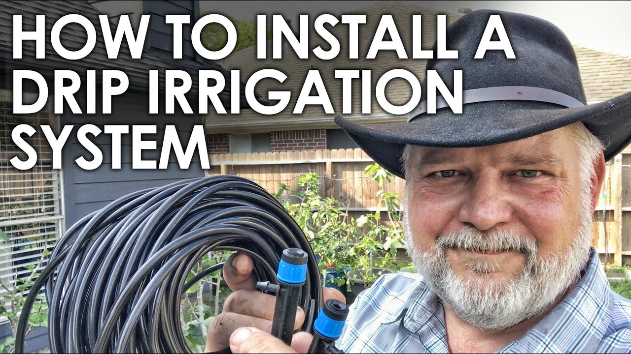 How to Install a Cheap Drip Irrigation System || Black Gumbo