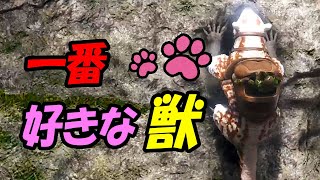 【ARK/フィヨルド】もふもふティラコレオをテイム【ゆっくり実況】