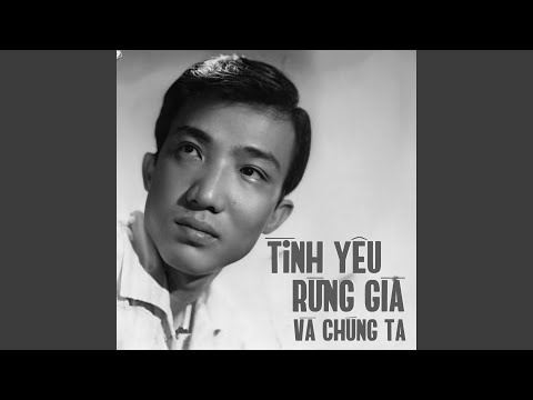 Tình yêu, rừng già và chúng ta - Nhật Trường