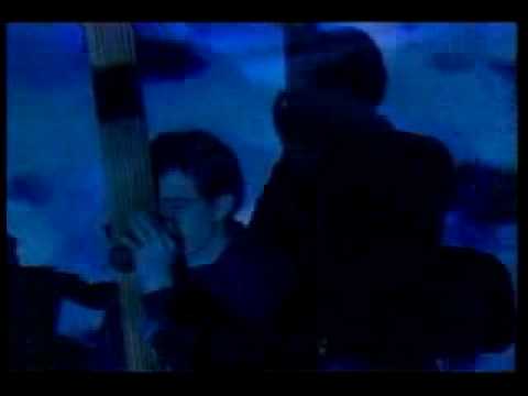 Gunther's Grass - Yourself Presents #268