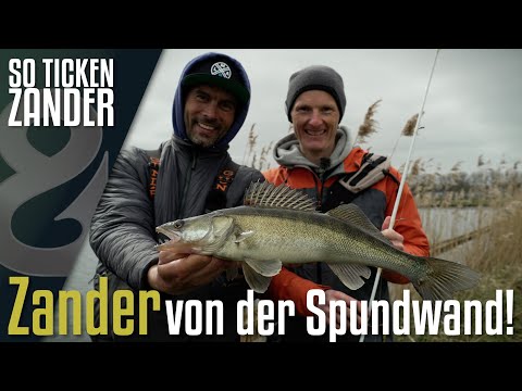 Birger und Enrico jagen die Spundwandräuber! So ticken Zander!