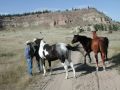 MY TRIP TO NORTHERN CHEYENNE ...