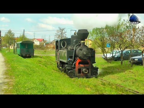 Mocanita 764-243 CFI Steam Loco/Dampflok la Manevra/Shunting in Gara Brad Station - 21 April 2017