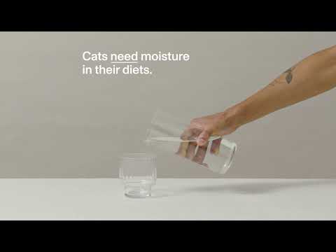 Try Smalls Wet Cat Food