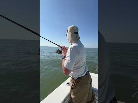 Monster battles on light tackle topwater#chesapeakebay #bluefish #fishing #lighttackle #topwater