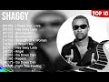 Shaggy Greatest Hits Best Songs Music Hits Collection Top 10 Pop Artists Of All Time