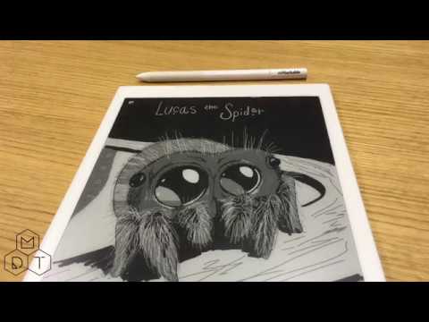 Lucas the Spider Speed Drawing on reMarkable 4K UHD Video
