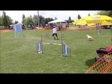 Irhaberki Oskola "Tisza" (A2) – Kraft Kupa, 2018.06.03.